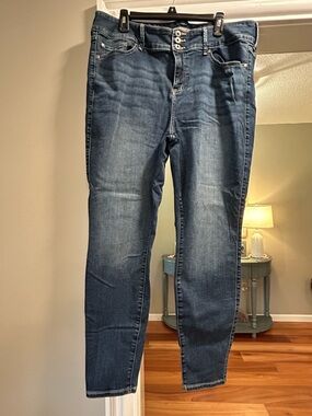 torrid Skinny Jeans 20T